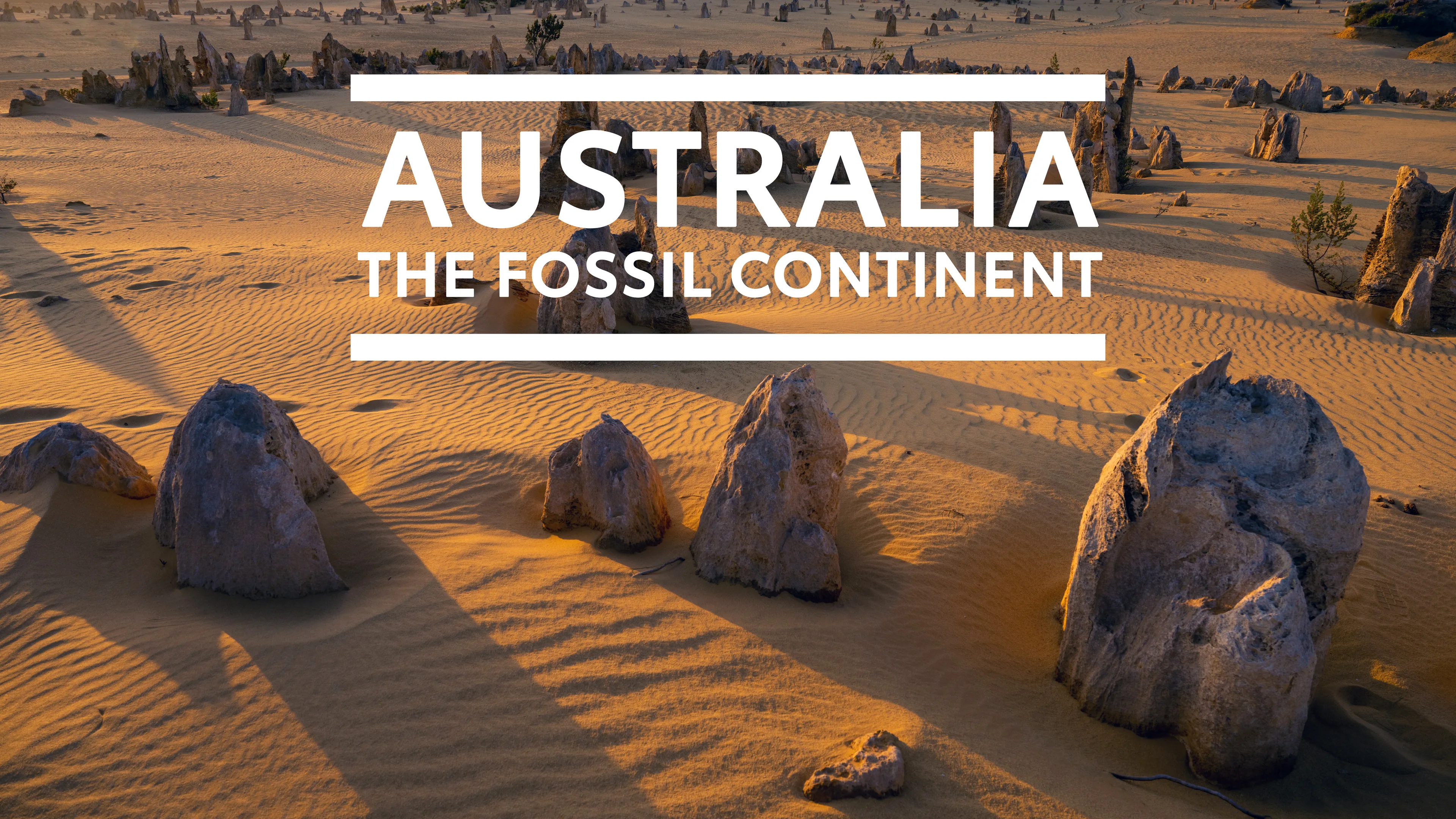 Australia the fossil continent poster